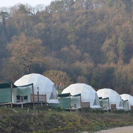 Dengekoru Wildlife & Glamping Hotel Mudurnu Ngoại thất bức ảnh
