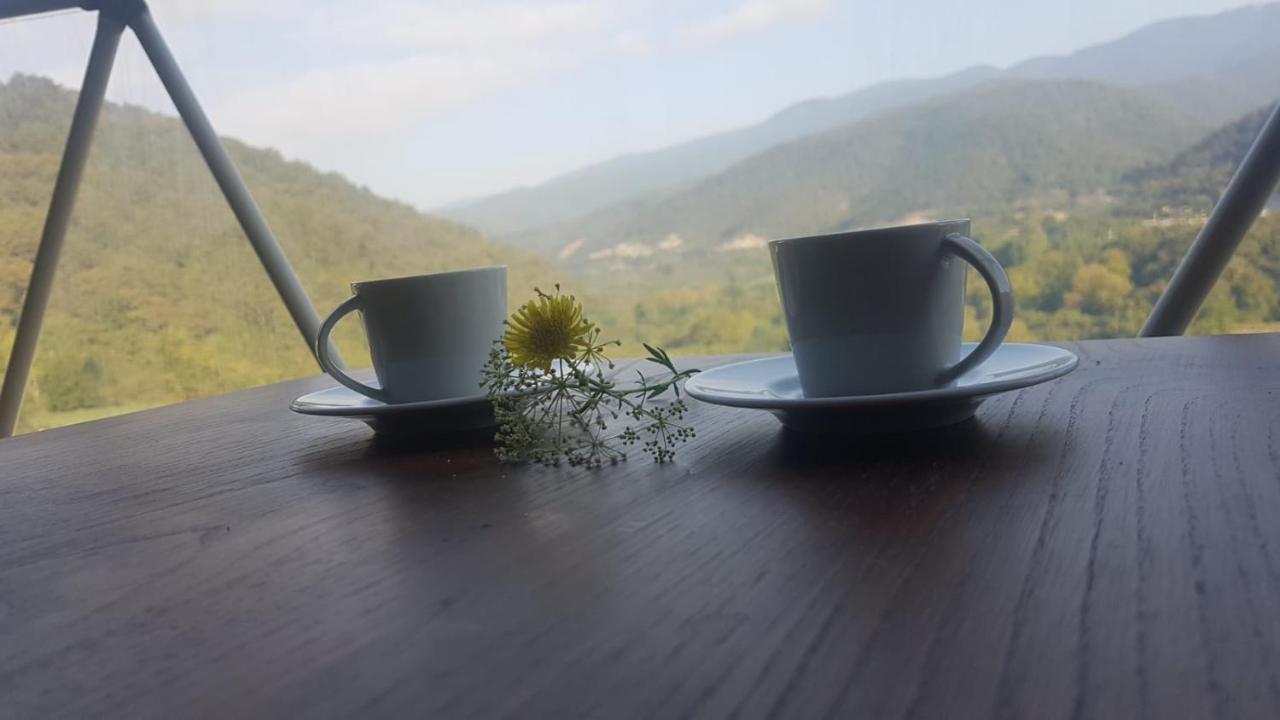 Dengekoru Wildlife & Glamping Hotel Mudurnu Ngoại thất bức ảnh