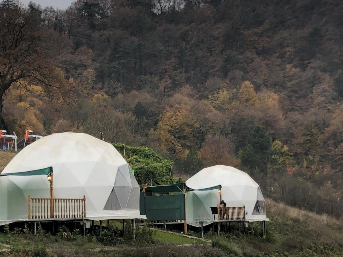 Dengekoru Wildlife & Glamping Hotel Mudurnu Ngoại thất bức ảnh