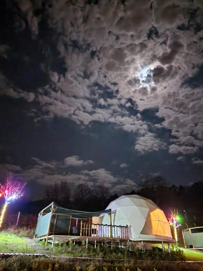Dengekoru Wildlife & Glamping Hotel Mudurnu Ngoại thất bức ảnh