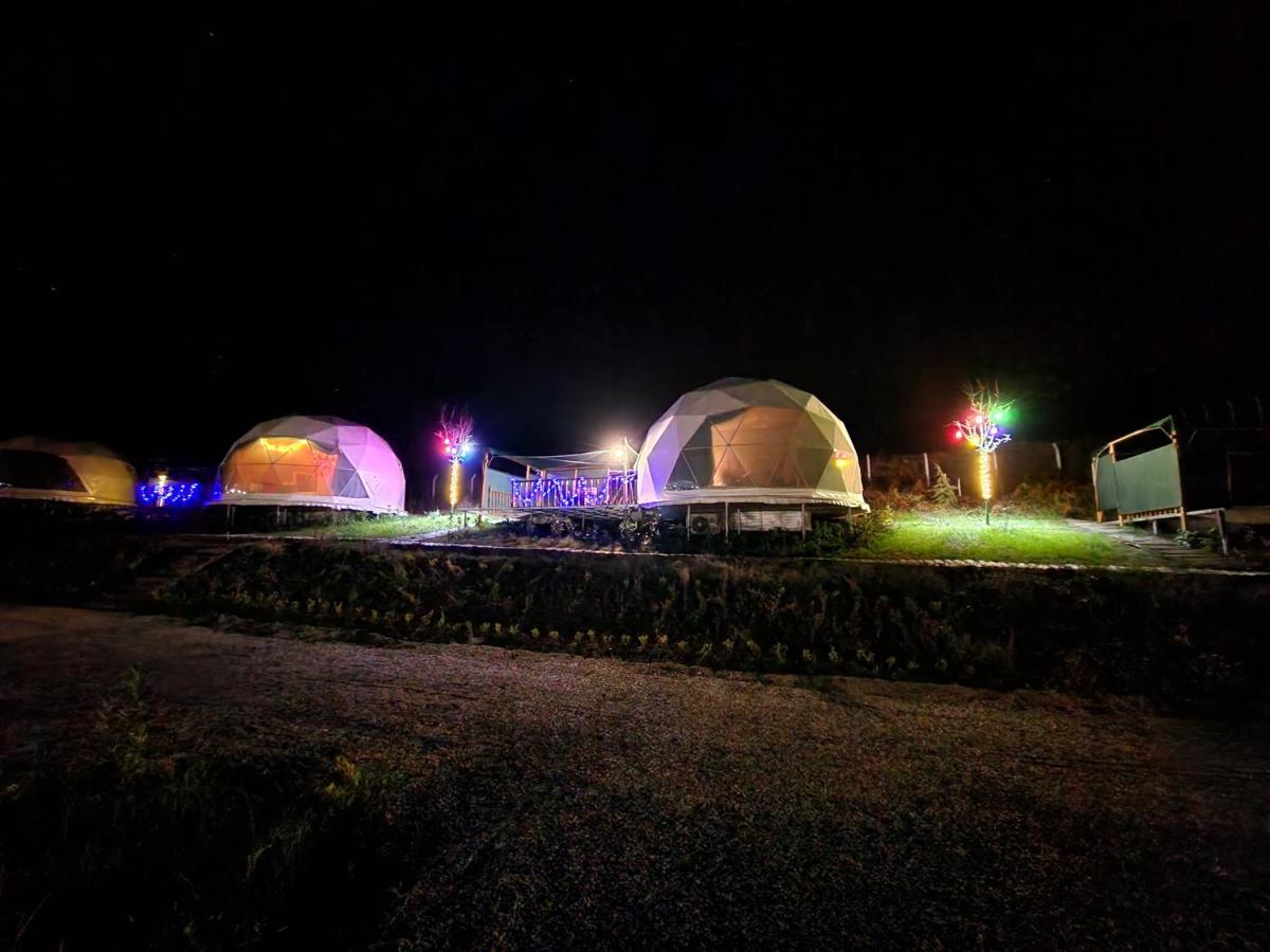 Dengekoru Wildlife & Glamping Hotel Mudurnu Ngoại thất bức ảnh